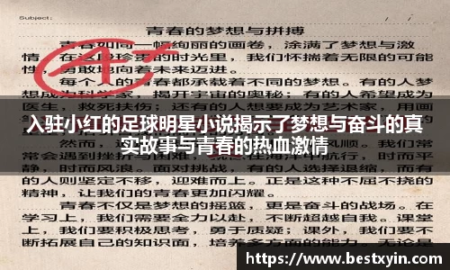 入驻小红的足球明星小说揭示了梦想与奋斗的真实故事与青春的热血激情